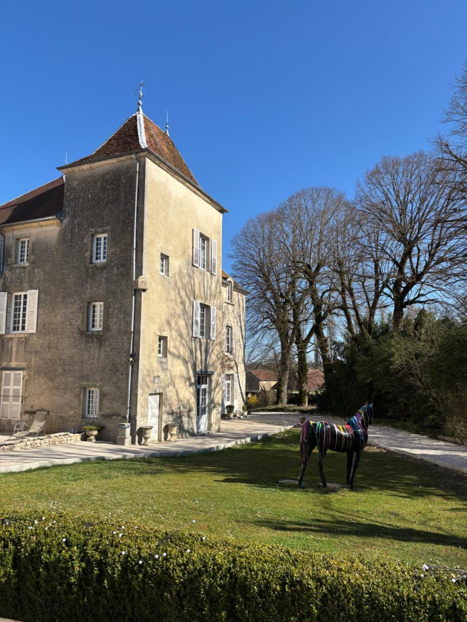 Chateau La Hussardiere Dampierre-sur-Salon Exteriér fotografie